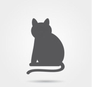cat - blog.jpg